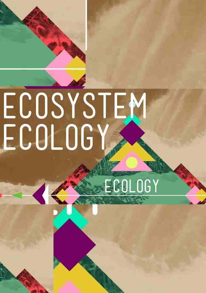 Crash Course: Ecology (2012)