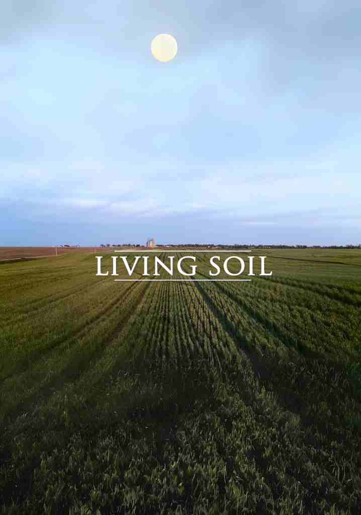 Living Soil (2018) | Full Documentary