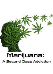 Marijuana: A Second Class Addiction (2011) | Full Documentary