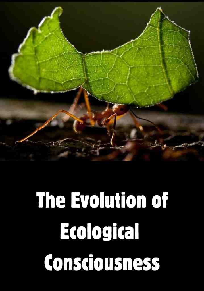 The Evolution of Ecological Consciousness (2013) | Full Documentary