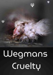 Wegmans Cruelty (2005) | Full Documentary