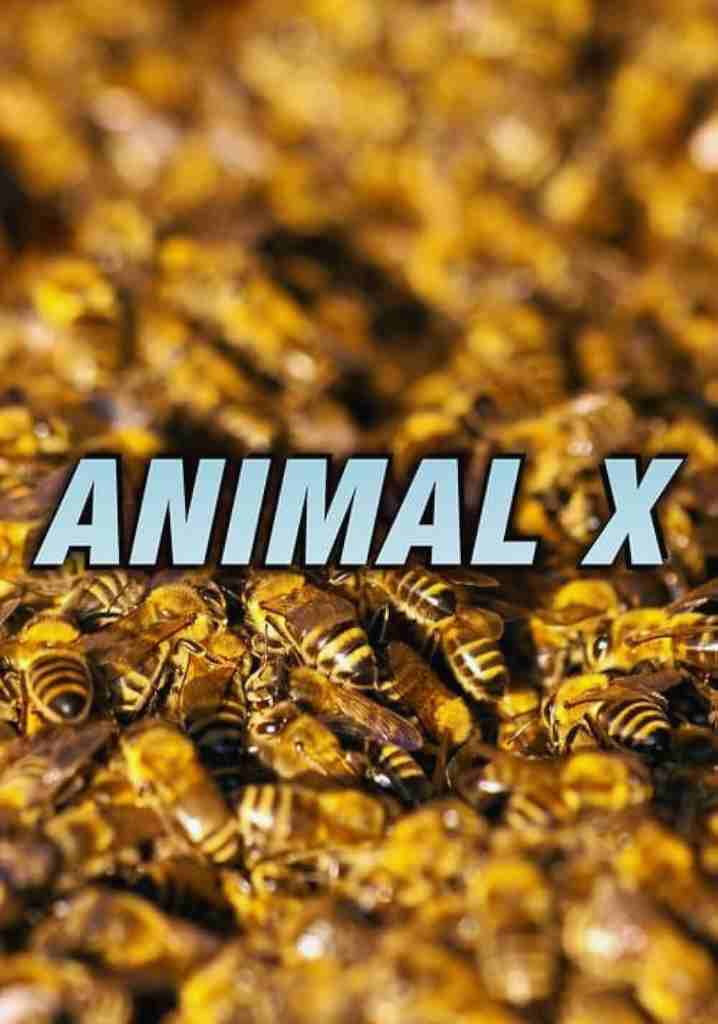 Animal X (1997) | Full Documentary