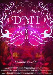 DMT: The Spirit Molecule (2010)