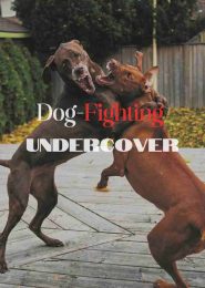 Dog-Fighting Undercover (2007) | Full Documentary