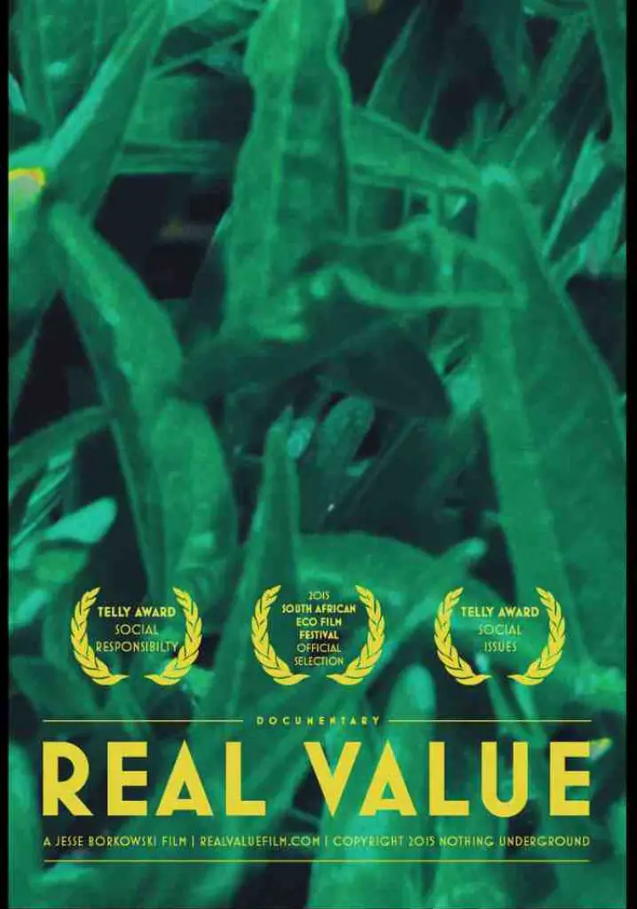 Real Value (2013) | Full Documentary