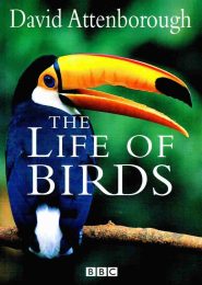 The Life of Birds (1998) | Full Documentary