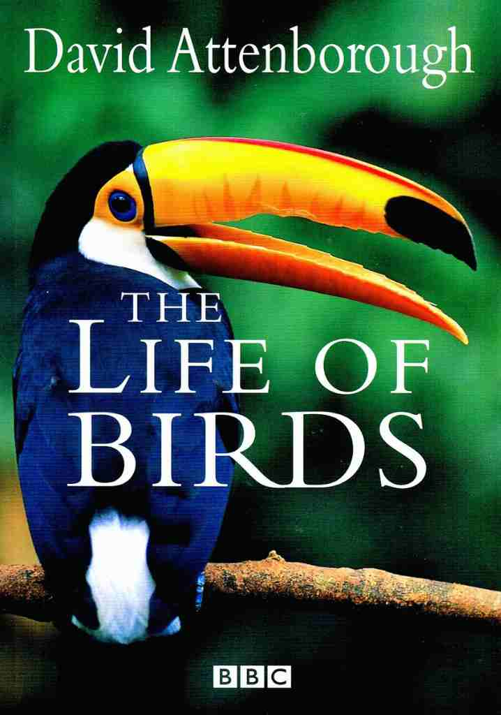 The Life of Birds (1998) | Full Documentary