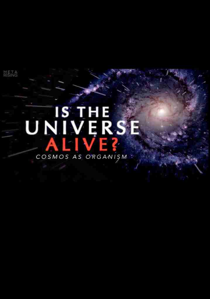 The Living Universe: Cosmos as Organism (2019) | Full Documentary