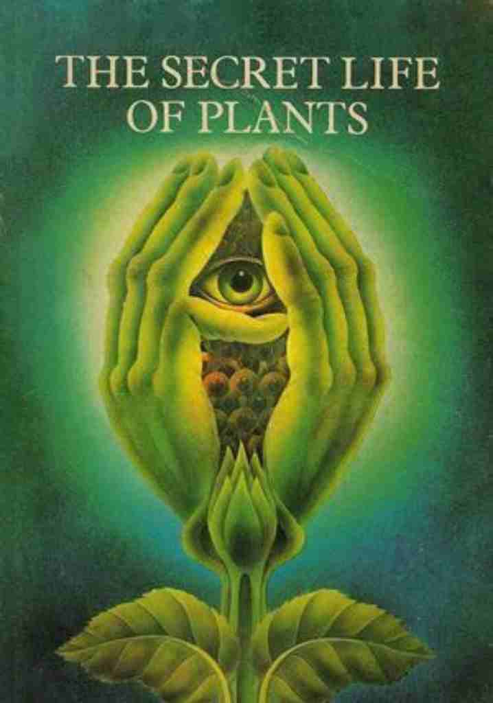 The Secret Life of Plants (1979) | Full Documentary