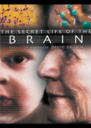 The Secret Life of the Brain (2002) | Full Documentary