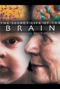 Featured image for The Secret Life of the Brain