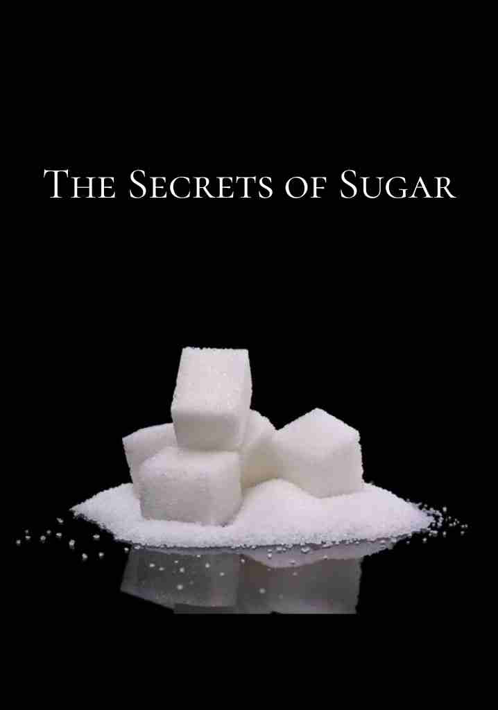 The Secrets of Sugar (2013) | Full Documentary