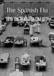 The Spanish Flu: How the World Recovered (2020)