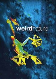 Weird Nature (2002) | Full Documentary