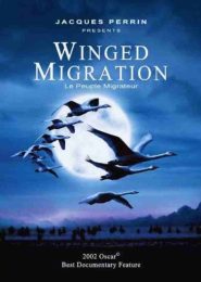 Winged Migration (2001) | Full Documentary