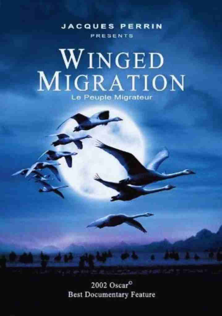 Winged Migration (2001) | Full Documentary