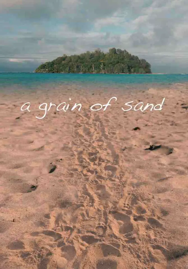 A Grain of Sand (2009) | Full Documentary