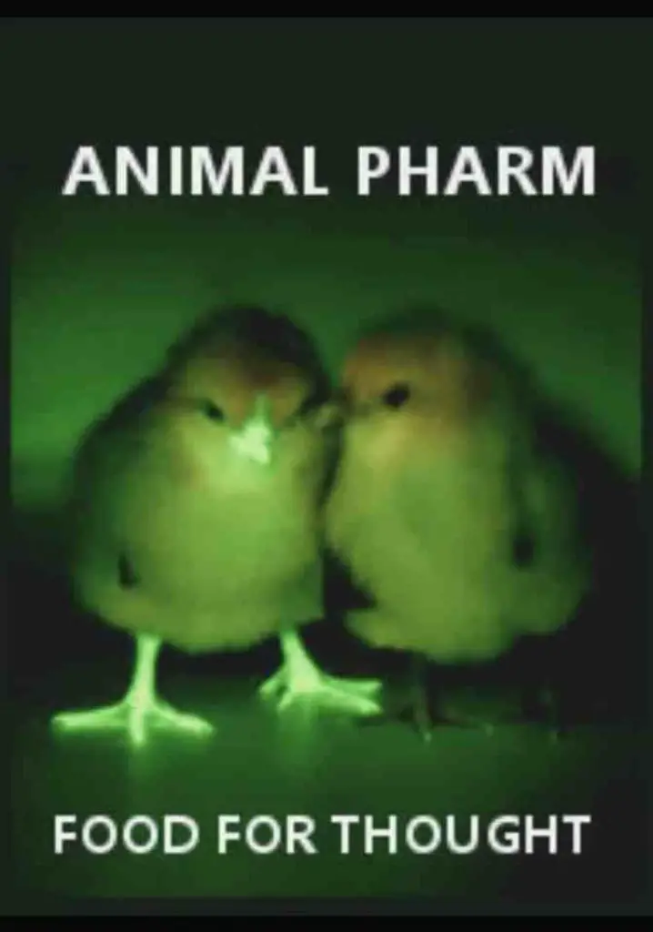 Animal Pharm: Food For Thought (2007) | Full Documentary