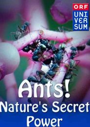 Ants: Nature’s Secret Power (2006) | Full Documentary