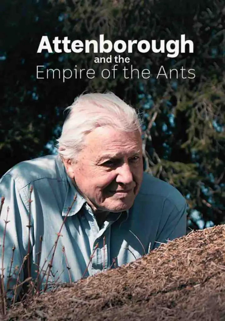 Attenborough and the Empire of the Ants (2017) | Full Documentary