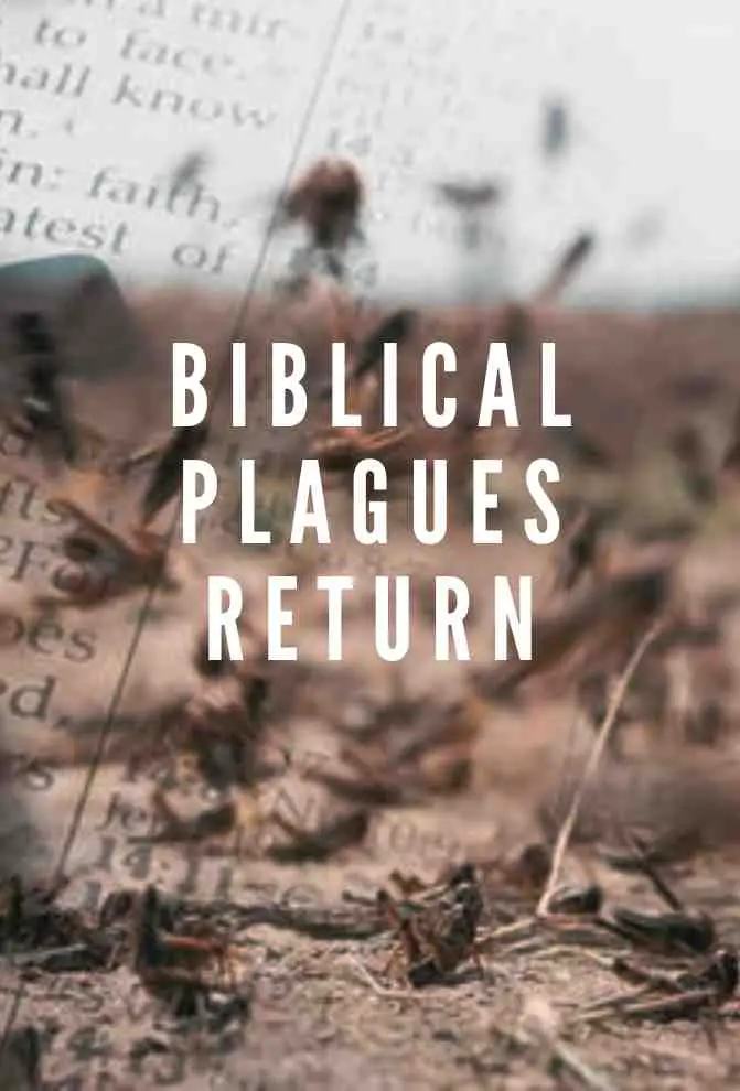 Featured image for Return of the Bible Plagues