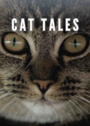 Cat Tales (2020) | Full Documentary