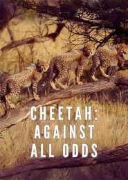 Cheetah: Against All Odds (2008) | Full Documentary