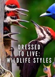 Dressed to Live: Wildlife Styles (2013) | Full Documentary