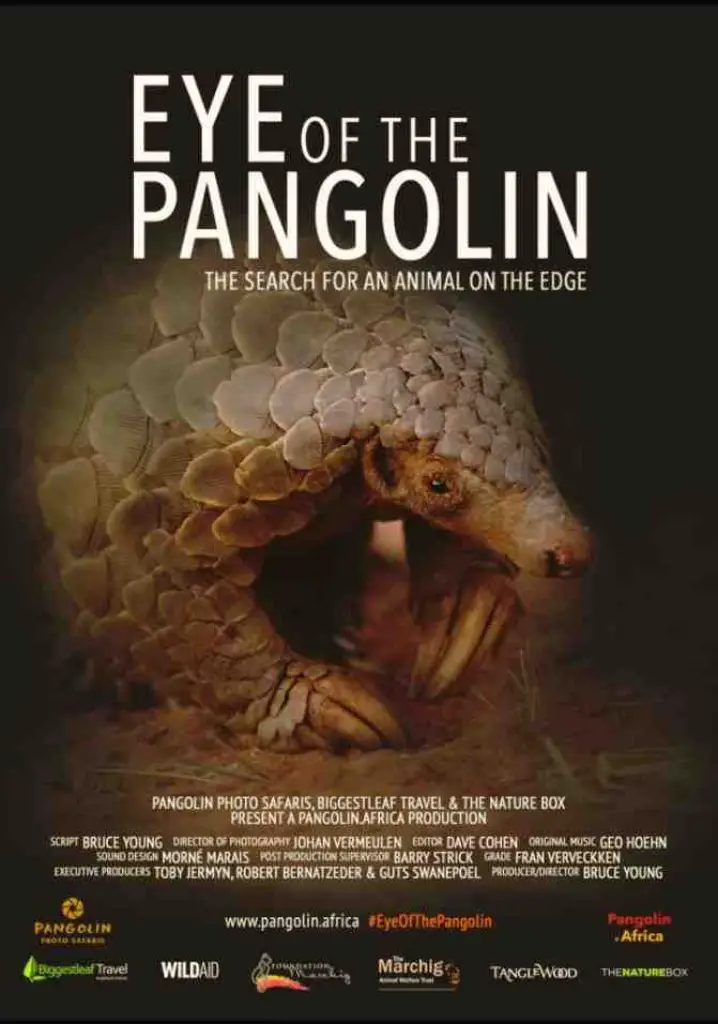 Eye of the Pangolin (2019) | Full Documentary