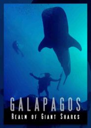 Galapagos: Realm of Giant Sharks (2015) | Full Documentary