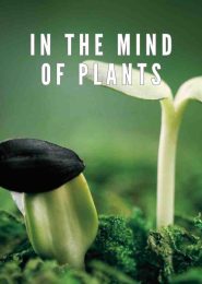 In the Mind of Plants (2008) | Full Documentary