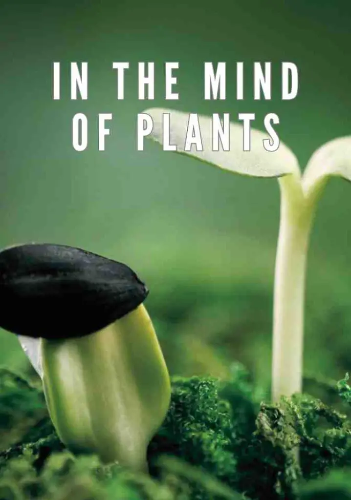 In the Mind of Plants (2008) | Full Documentary