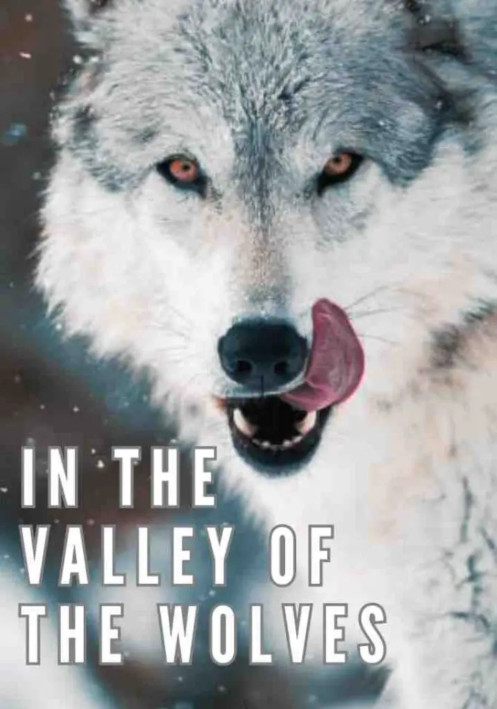 In the Valley of the Wolves (2007) | Full Documentary