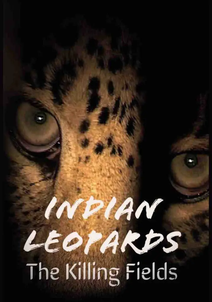 Indian Leopards: In the Killing Fields (2004) | Full Documentary