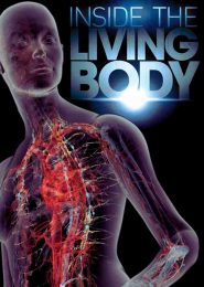 Inside The Living Body (2007) | Full Documentary