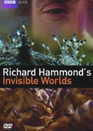 Richard Hammond’s Invisible Worlds (2010) | Full Documentary