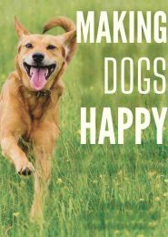 Making Dogs Happy (2016) | Full Documentary