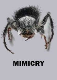 Mimicry (2021) | Full Documentary