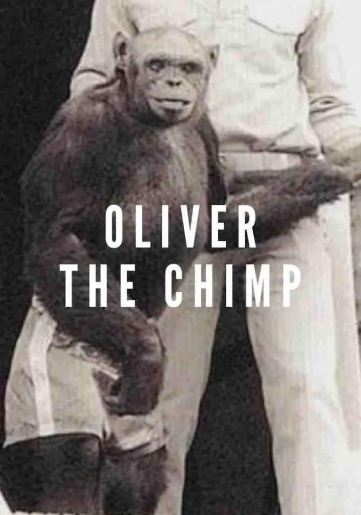 Oliver The Chimp (2003) | Full Documentary