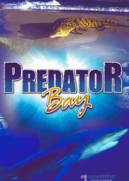 Predator Bay (2003) | Full Documentary