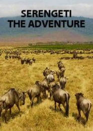 Serengeti: The Adventure (2013) | Full Documentary