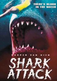 Shark Attacks (2005) | Full Documentary