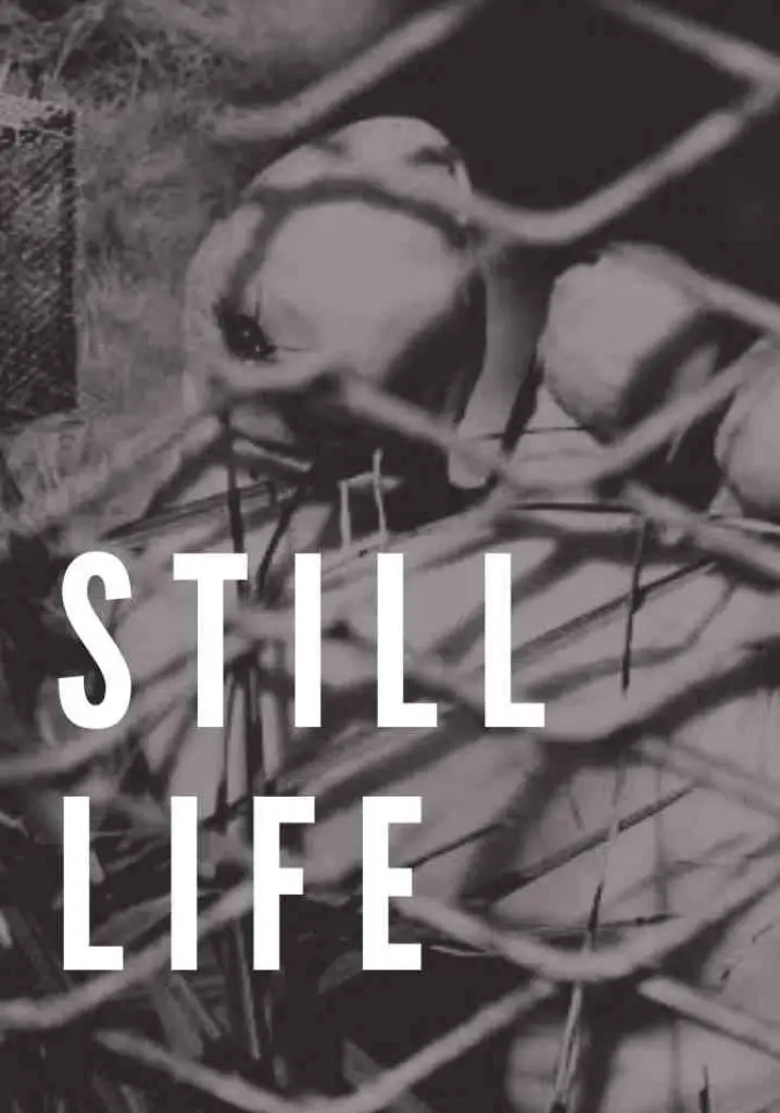 Still Life (2014) | Full Documentary