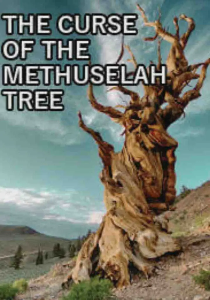 The Curse of the Methuselah Tree (2009) | Full Documentary