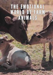 The Emotional World of Farm Animals (2004) | Full Documentary