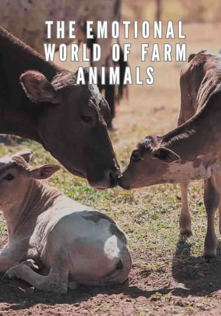 The Emotional World of Farm Animals (2004) | Full Documentary