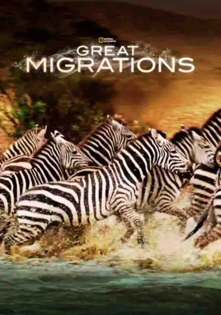 The Greatest Animal Migration (2014) | Full Documentary