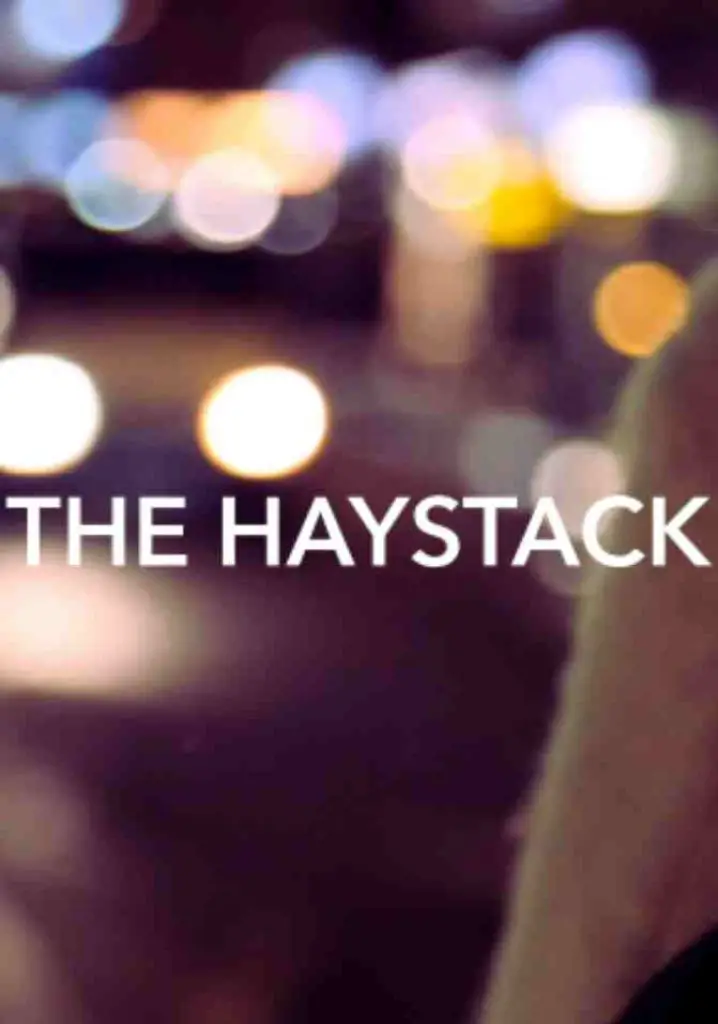 The Haystack (2016) | Full Documentary