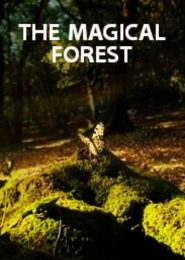 The Magical Forest (2012) | Full Documentary