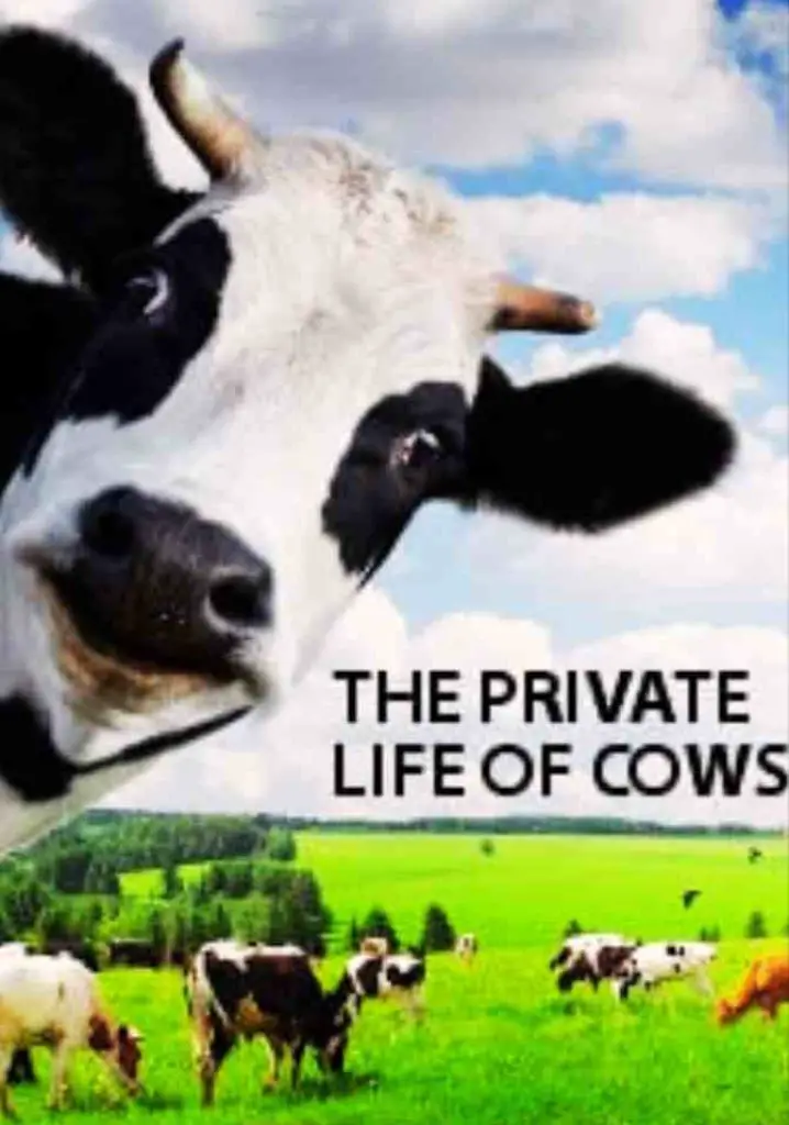 The Private Life of Cows (2010) | Full Documentary